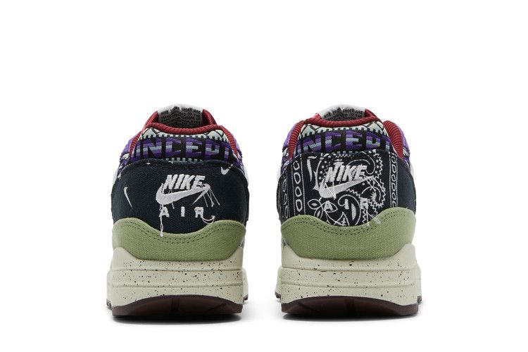 Nike Air Max 1 SP Concepts Mellow