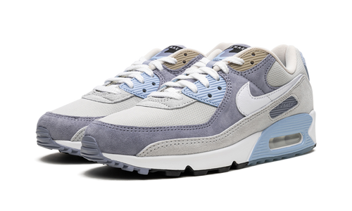 Air Max 90 "Ashen Slate"
