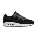 Nike Air Max 1 Rebel Skulls