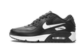 Air Max 90 LTR (GS)