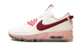 AIR MAX 90 TERRASCAPE MNS WMNS "Pomegranate"