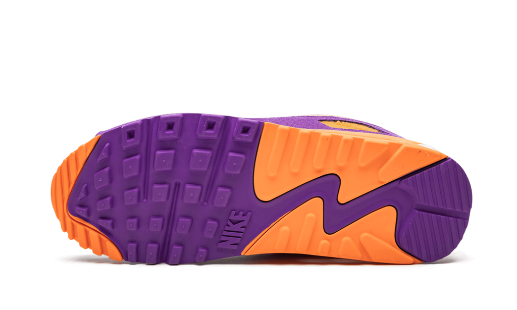 Air Max 90 "Viotech"