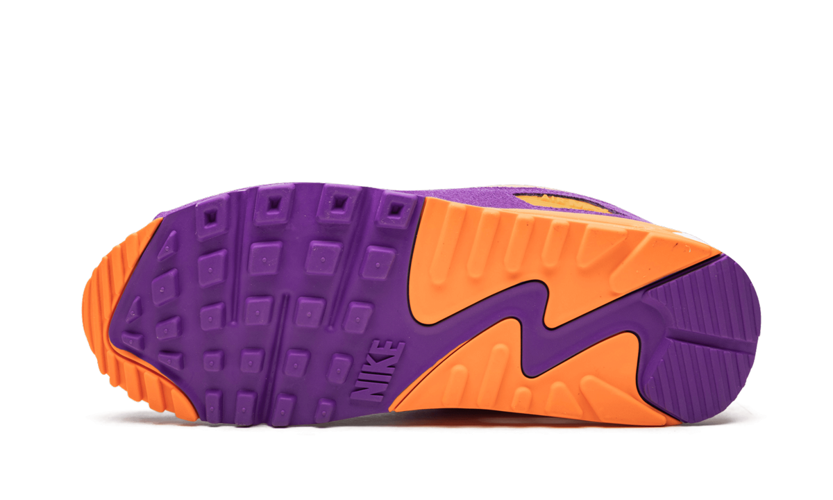 Air Max 90 "Viotech"