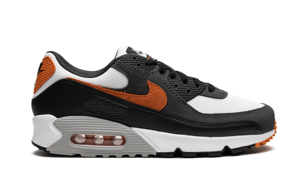 Air Max 90 "Starfish"