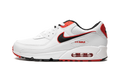 Air Max 90 "Blood Orange"